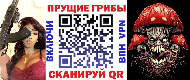 что такое   Санкт-Петербург  Псилоцибиновые грибы Cubensis 