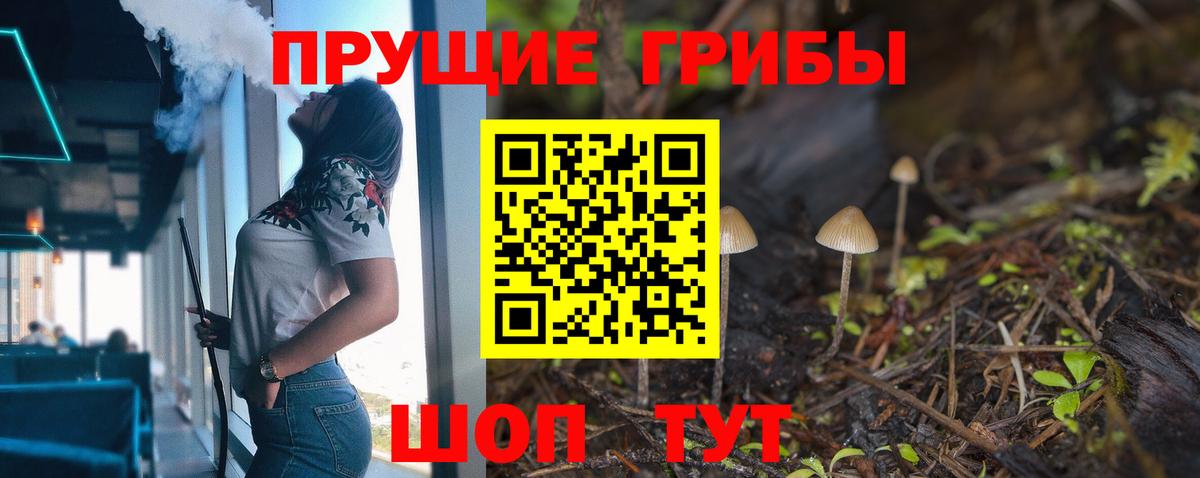 Санкт-Петербург  магазин продажи   Вход с VPN  Галлюциногенные грибы MAGIC MUSHROOMS 