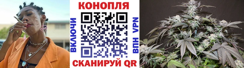 где купить наркоту Санкт-Петербург Шишки марихуана план